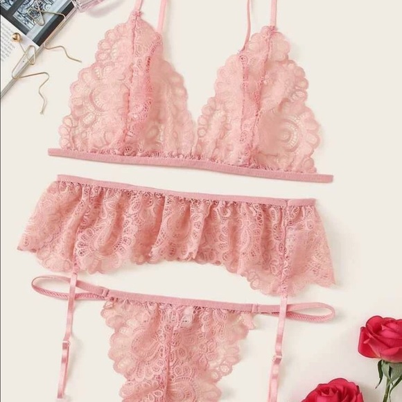 Coral Pink Lace Transparent Bra Panties Garter Set - Picture 1 of 7